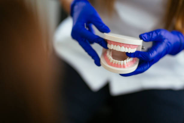  Lake Station, IN Holistic Dental Care Services Pros